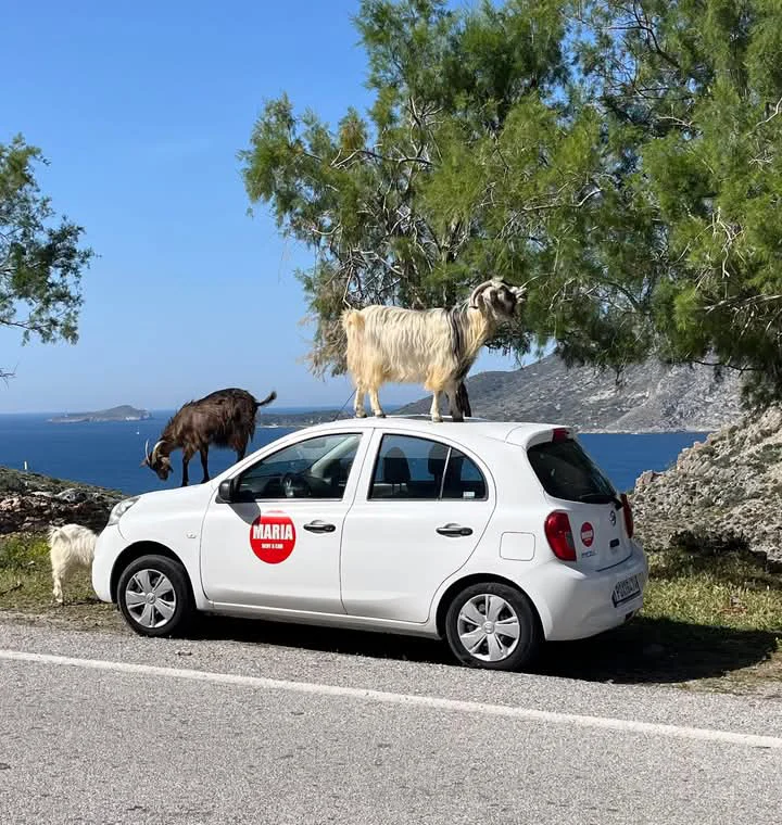 kalymnos-rent-a-car-55